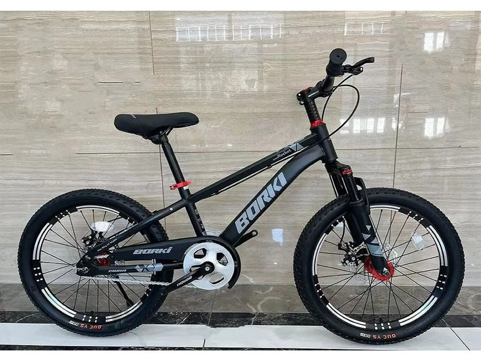 Bicicleta infantil amb fre de disc
