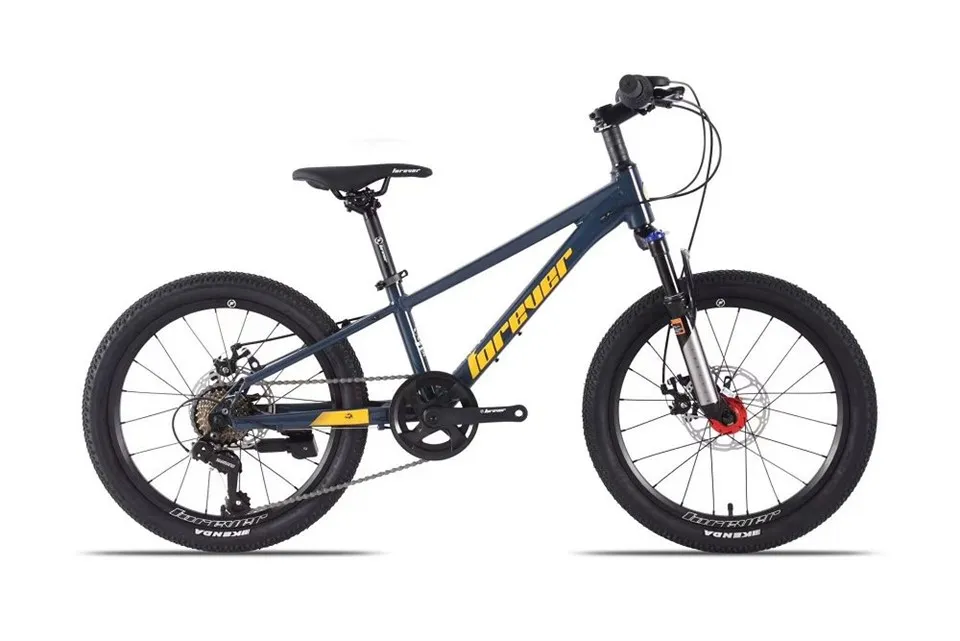 Bicicleta de muntanya masculina i femenina