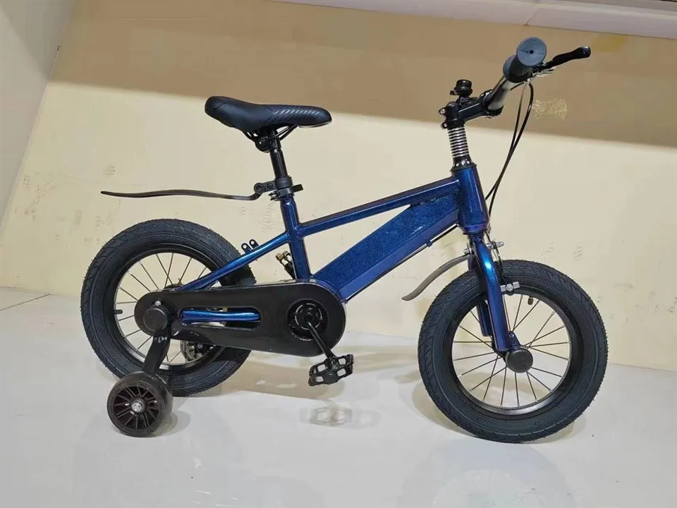 Bicicleta infantil professional