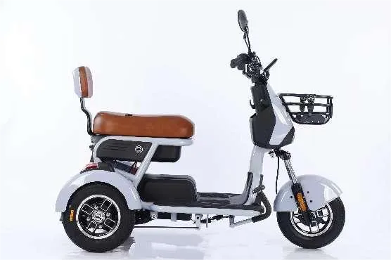 Bicicletes elèctriques de tres rodes